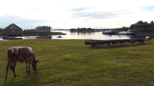 Соловецкие острова. P. S. смотреть онлайн