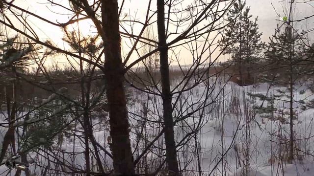 ПРОХОДИТЕ МИМО CANON 600D В 2021 / походец на озеро Пырское смотреть онлайн