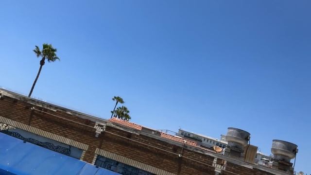 Painting an EPIC Mural for TNT’s Animal Kingdom at Venice Beach! смотреть онлайн