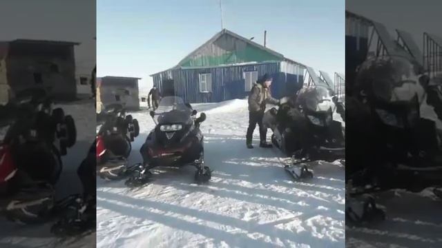 супер охота на волка 2020 год