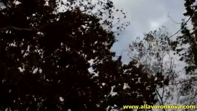 Йога урок 22 - Шавасана смотреть онлайн