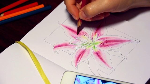 Let's draw together #4 [SpeedPaint]/ Рисуем вместе/ Лилия смотреть онлайн