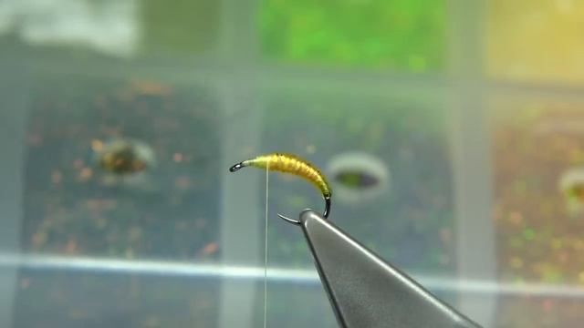 Tying a Elastic Caddis Pupa by Davie McPhail смотреть онлайн