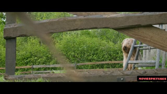 Бемби: История жизни в лесу - 2024