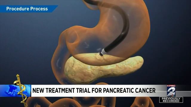Houston Doctor Discovers Way To Treat Pancreatic Cancer During Clinical Trial