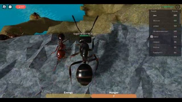 Super Major Solo Raids Fire Ants | ROBLOX Ant Life V2 смотреть онлайн