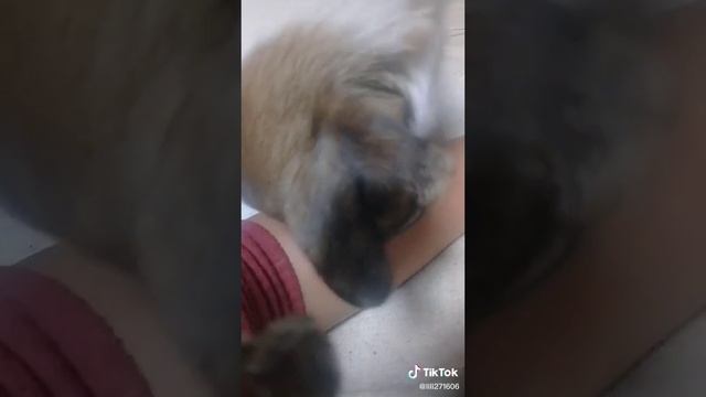 Чтобы сожрать смотреть онлайн