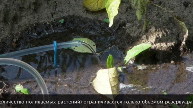 Модульная система автоматического полива для грядок Роса. смотреть онлайн