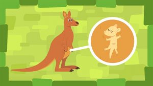 Катя и Эф. Куда угодно дверь — Добро пожаловать  — Серия 99