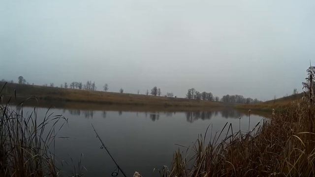 Рыбалка в Воронежской области. Ловля щуки на спиннинг. Щука на Strike Pro  Inquisitor 110sp.