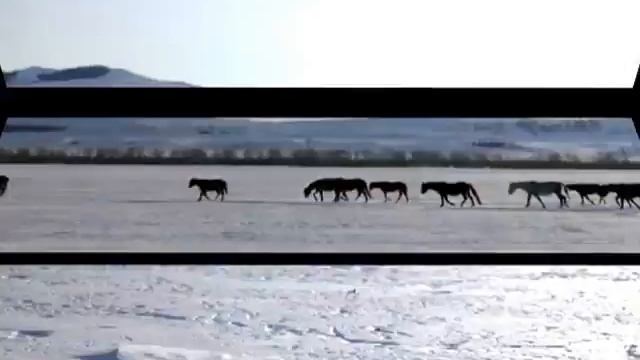 где то в Аскизе лошади смотреть онлайн