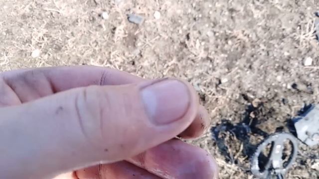 Удачное открытие коп сезона 2019! Серебро Александра 3 смотреть онлайн