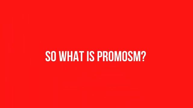 What is PromoSM EXPLAINED - YouTube Comment Bots смотреть онлайн
