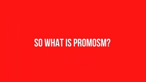 What is PromoSM EXPLAINED -   YouTube Comment Bots