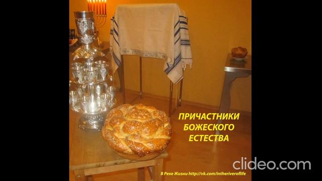 Причастие священства. 22.02.2016 Ст. пастор Людмила Мастерова. Церковь В Реке Жизни. смотреть онлайн