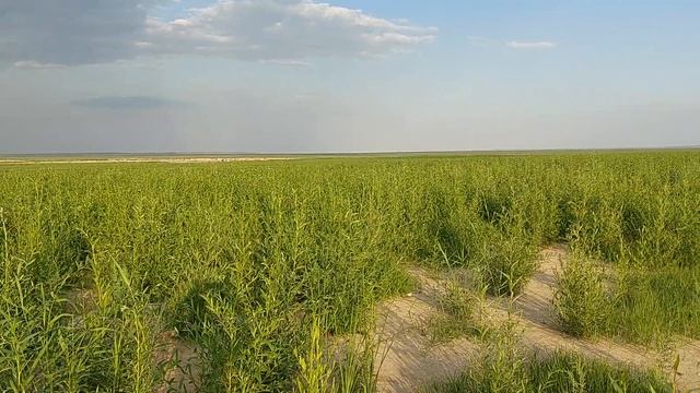 Каховське водосховище - Все змінилось, змінюється, та буде змінюватись. смотреть онлайн