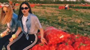 Эх,лук лучок