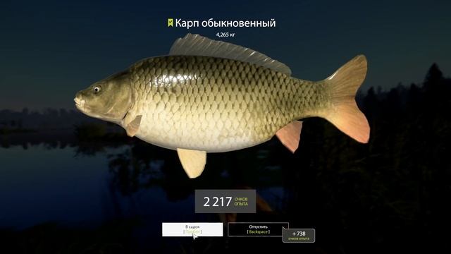 русская рыбалка 4 - Карп озеро Старый Острог - рр4 фарм Алексей Майоров смотреть онлайн