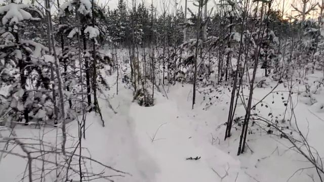 Вездеход на бел-79 смотреть онлайн
