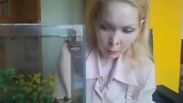 Животные / У кота Васи появился интернет смотреть онлайн