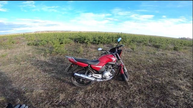 Yamaha YBR 125 обзор! Лучший мотоцикл для новичка! смотреть онлайн
