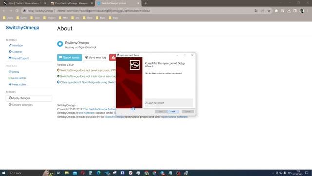 Настраиваем NymConnect | Пошаговый гайд