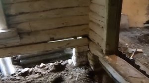 Ремонт деревенского дома под курятник #5 / Плоский шифер