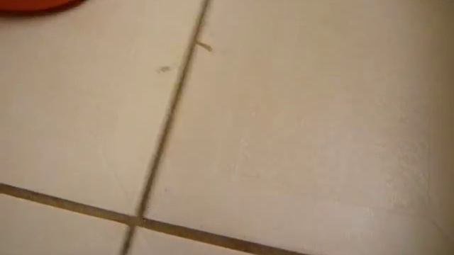 Laundry Products смотреть онлайн