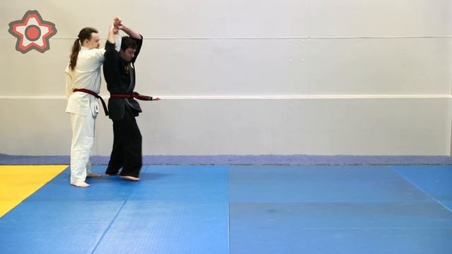 Shiho Nage - Kyushin Ryu Jujitsu смотреть онлайн