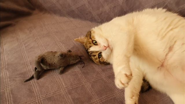 Флюорит. Тонкие бусы из флюорита. смотреть онлайн