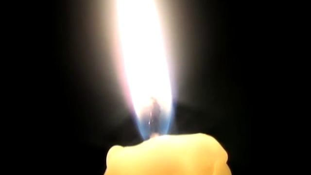 Свеча   ||  Древо Жизни