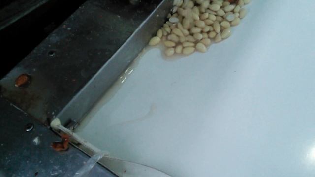 Линия переработки бланшировки миндаля смотреть онлайн