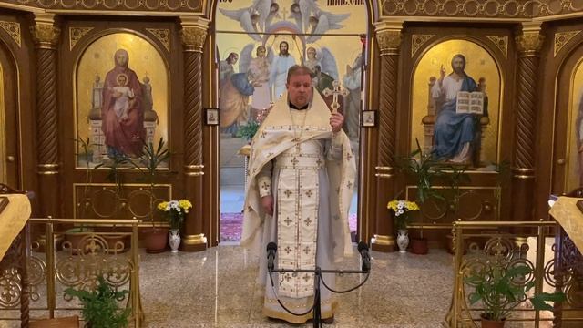 Разум и вера. Проповедь священника Димитрия Лушникова 12 декабря 2020. смотреть онлайн