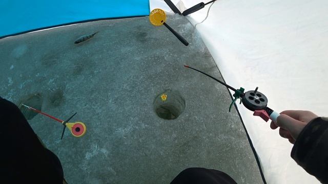 ЧТО ДЕЛАТЬ ЕСЛИ НЕ КЛЮЕТ! ЗИМНЯЯ РЫБАЛКА В ПАЛАТКЕ С КОМФОРТОМ! смотреть онлайн