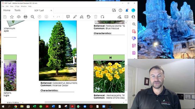 Blessing Landscapes School of Plants #7 смотреть онлайн