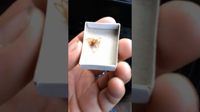 Жёлтый паук в Воронежской области 8 августа 2016г смотреть онлайн