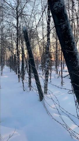 Останки Сталинской 501-й стройки на севере смотреть онлайн