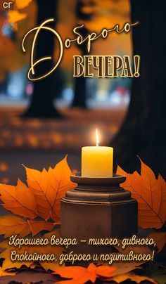 Пусть вечер будет добрым,
Прекрасным и теплым,
Пусть все будет красиво,
Прекрасно и мило. смотреть онлайн