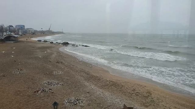 3 января. Отдых у моря. Вид на море ? где летят чайки без устали. Красивое видео с видом на море. смотреть онлайн
