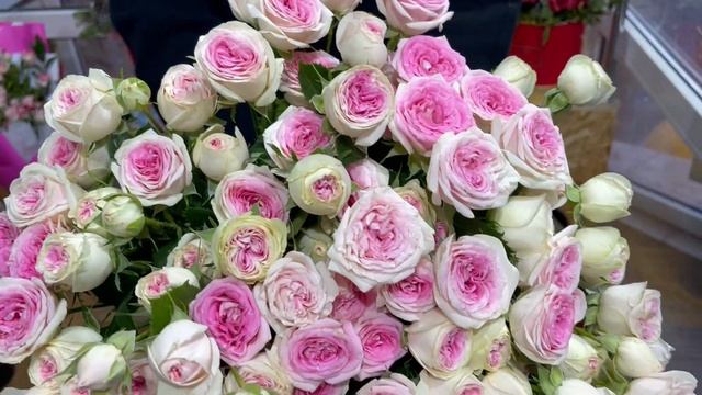 25 кустовых роз "Джелатто" смотреть онлайн