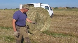 Сено лучше в тюках или в рулонах. мнение Сенокос 2019