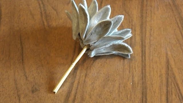 НЕОБЫЧНЫЕ ЦВЕТЫ, которые могут быть у каждого. смотреть онлайн