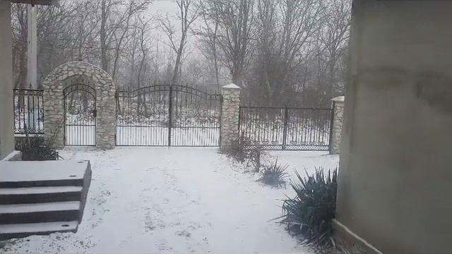 У меня не поднялась рука на него! смотреть онлайн