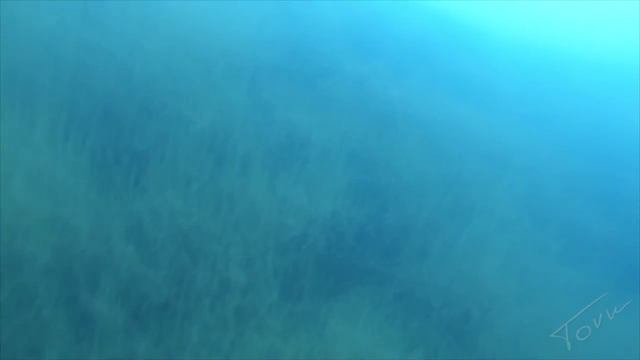 XXI съезд. Грызловские карьеры. First Open Water смотреть онлайн