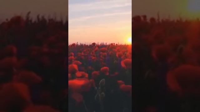 Злата Литвинова «Каждая женщина…» смотреть онлайн