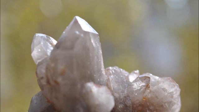 ОБРАЗЦЫ 24 смотреть онлайн