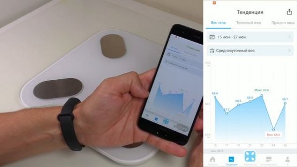 Умные весы Picooc Mini