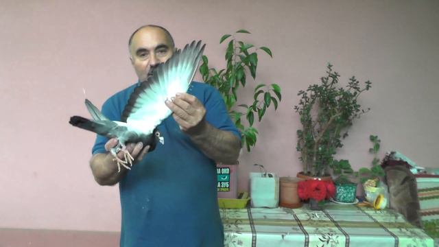 Хочу поблагодарить своих товарищей по спорту ..? смотреть онлайн