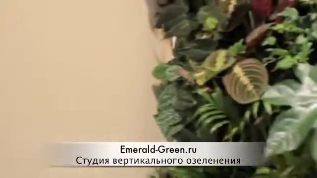Вертикальное озеленение в загородном доме часть 2 'После' смотреть онлайн