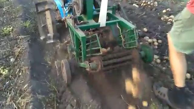 Картофелекопалка транспортерная 2.09.2018г. смотреть онлайн